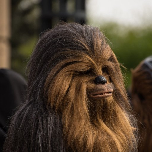 Chewbacca the Wookie. Image by M. Mckinney Photography (via Shutterstock).